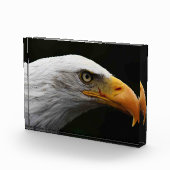 Bloc Photo Bald Eagle pbcna (Droite)
