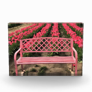 Bloc Photo Banc rose avec tulipes roses