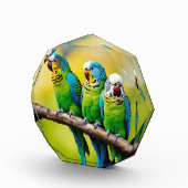 Bloc Photo Bbocs photo (Droite)