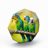 Bloc Photo Bbocs photo (Gauche)