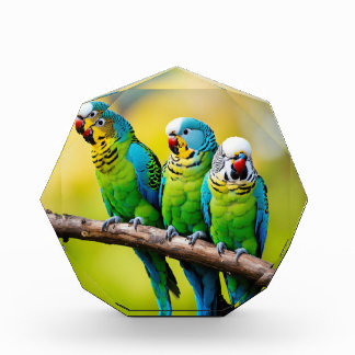 Bloc Photo Bbocs photo