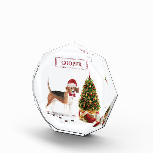 Bloc Photo Beagle drôle Chien de Noël avec arbre