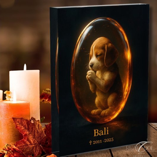 Bloc Photo Beagle Memorial 