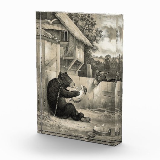 Bloc Photo Beard - Bear, Dog and Donkey (Droite)