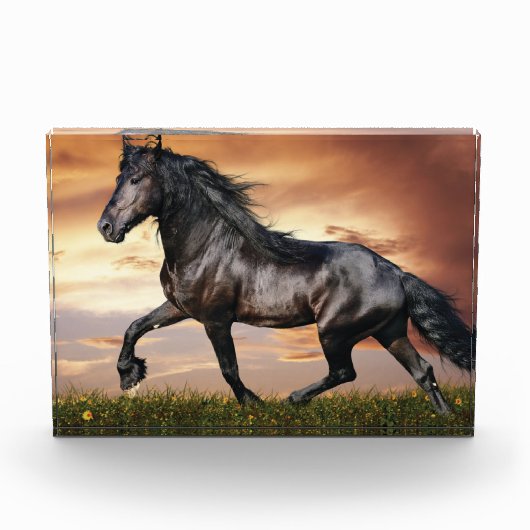 Bloc Photo Beau Cheval Noir (Devant)