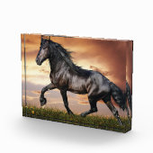 Bloc Photo Beau Cheval Noir (Droite)