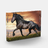 Bloc Photo Beau Cheval Noir (Gauche)