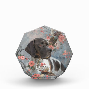 Bloc Photo Beau pointeur avec faisans