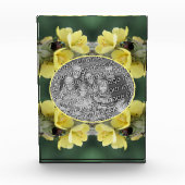 Bloc Photo Beetle sur Fleur Mullein Sauvage Ajoutez votre (Devant)