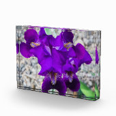 Bloc Photo Belle iris violet (Droite)