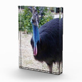 Bloc Photo Big Blue Cassowary Bird, (Droite)