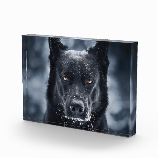 Bloc Photo Black German Shepherd (Droite)
