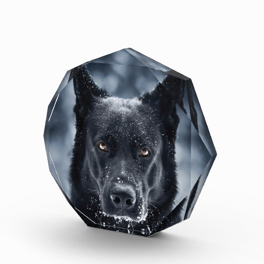 Bloc Photo Black German Shepherd (Droite)