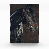 Bloc photo Black Horse (Devant)