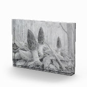 Bloc photo Black Morel Mushroom (Droite)