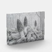 Bloc photo Black Morel Mushroom (Gauche)