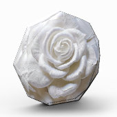 Bloc Photo Blanc sur blanc - Rose sculpté (Gauche)