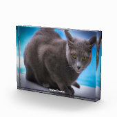 Bloc Photo Bleu Russe (Droite)
