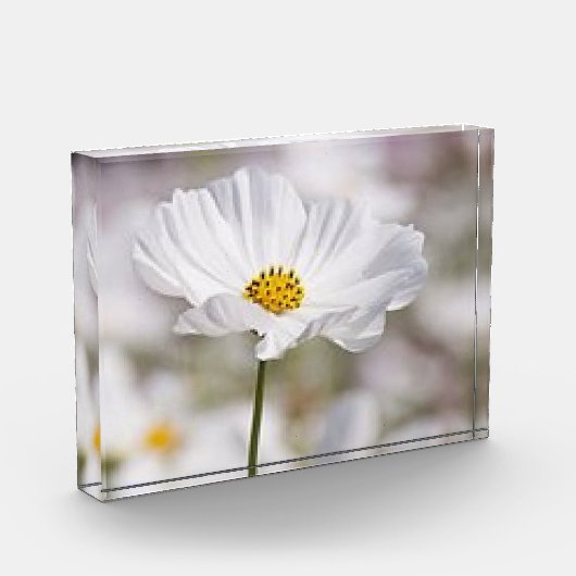 Bloc Photo Bloc photo. (Gauche)