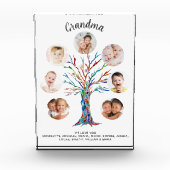 Bloc Photo Blocage photo de Grand-mère (Devant)