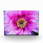 Bloc Photo Blocs acryliques de pivoine rose (Devant)