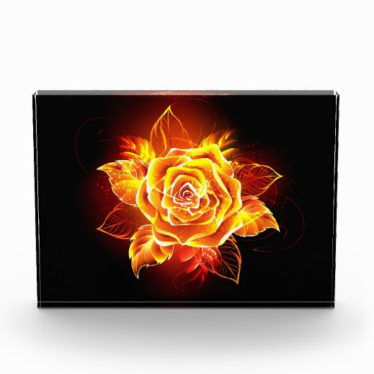 Bloc Photo Blooming Fire Rose (Devant)