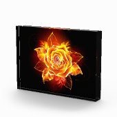 Bloc Photo Blooming Fire Rose (Droite)
