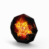 Bloc Photo Blooming Fire Rose (Droite)