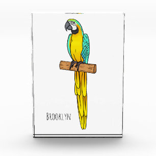 Bloc Photo Blue-and-yellow macaw bird cartoon illustration