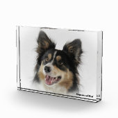 Bloc Photo Bordure Collie Chien. (Droite)