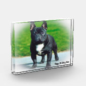 Bloc Photo Bouledogue Français (Gauche)