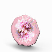Bloc Photo Bouquet de fleurs de crocus roses (Droite)