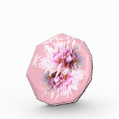 Bloc Photo Bouquet de fleurs de crocus roses (Gauche)