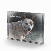 Bloc Photo Bouvier Australien (Droite)