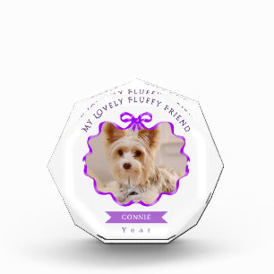 Bloc Photo Bow Ruban Pet Mémoire Photo Violet