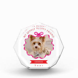Bloc Photo Bow Ruban Pet Photo Rouge