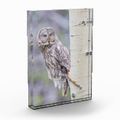 Bloc Photo Branche d'arbre d'astre gris (Gauche)