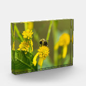 Bloc Photo Bumblebee (Gauche)