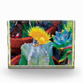 Bloc Photo Cactus Caliente (Devant)