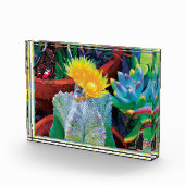 Bloc Photo Cactus Caliente (Droite)