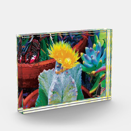 Bloc Photo Cactus Caliente (Gauche)
