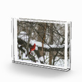 Bloc Photo Cardinal dans le Snowy Woods II (Droite)