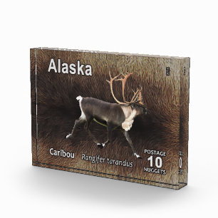 Bloc Photo Caribou (rennes) - Postage de l'Alaska