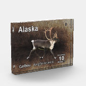 Bloc Photo Caribou (rennes) - Postage de l'Alaska (Gauche)
