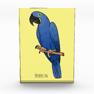 Bloc Photo Caricature d'oiseau macaw Hyacinth