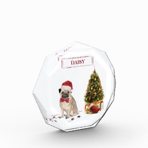Bloc Photo Carlin drôle Chien de Noël avec arbre