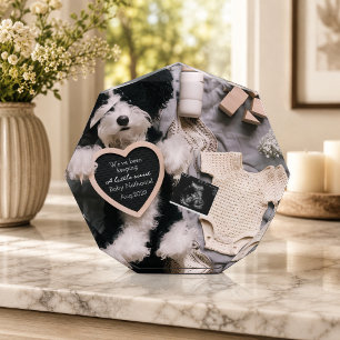 Bloc Photo Carte d'annonce de grossesse avec un nounours de c