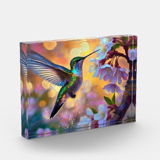 Bloc Photo Cerisier Imaginaire Sunrise Hummingbird  (Gauche)