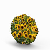 Bloc Photo Champ de tournesols (Droite)