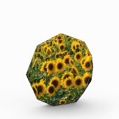 Bloc Photo Champ de tournesols (Gauche)